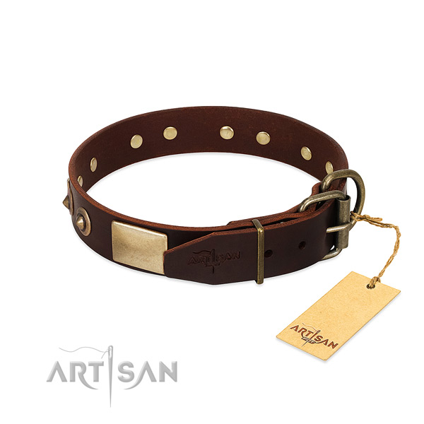 Rust-proof studs on easy wearing dog collar