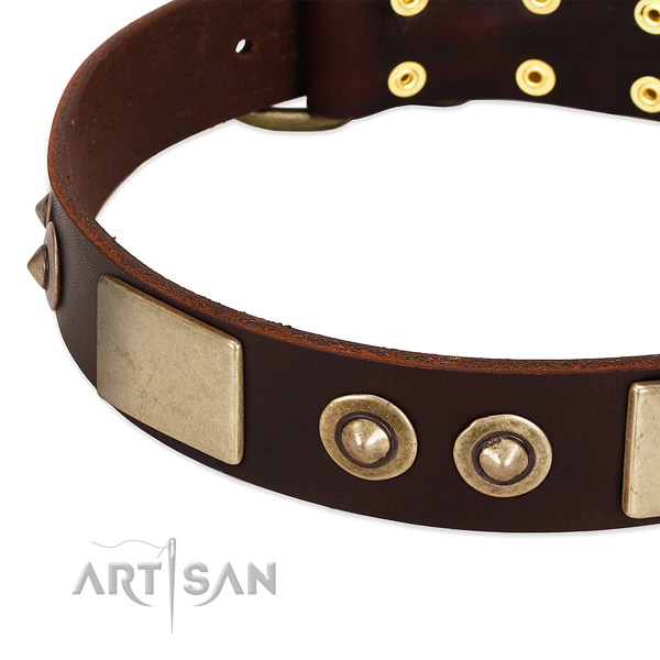 Reliable studs on full grain natural leather dog collar for your canine