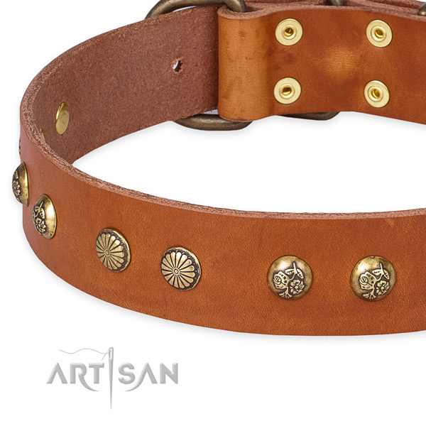Full grain natural leather collar with strong fittings for your stylish four-legged friend