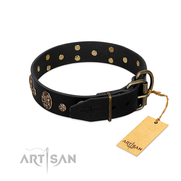 Reliable embellishments on full grain natural leather dog collar for your dog