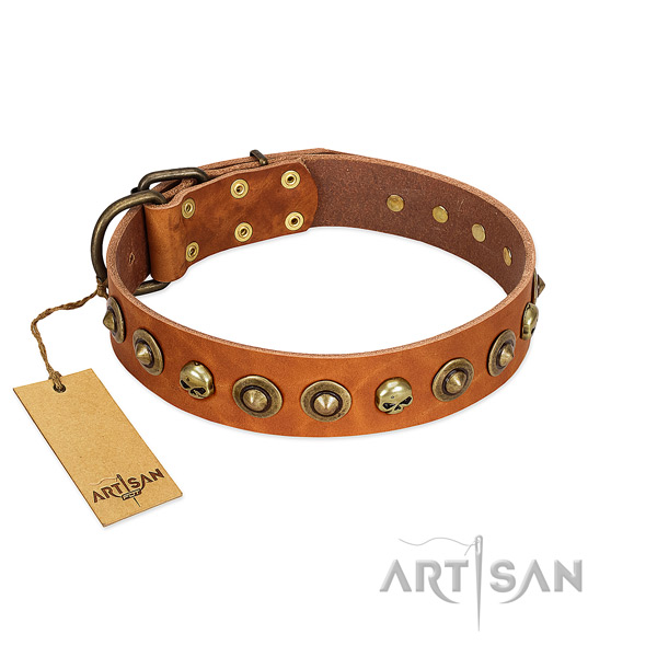 Genuine leather collar with incredible studs for your doggie