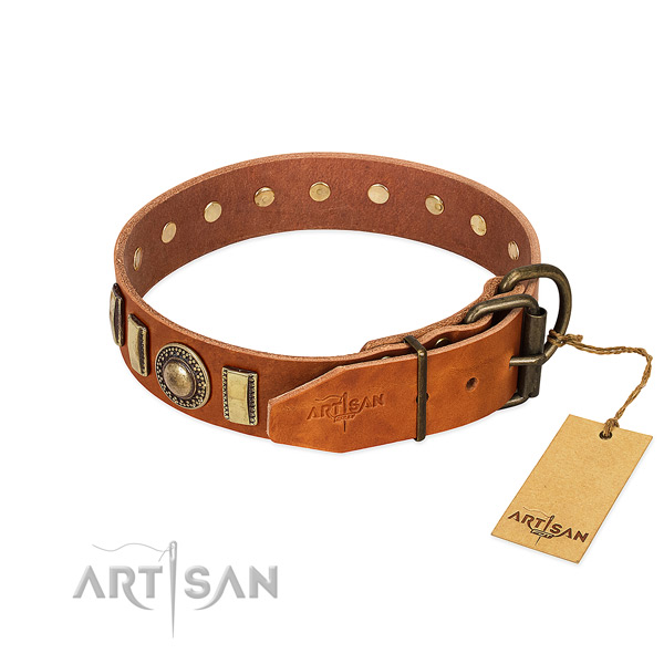 Exquisite genuine leather dog collar with rust resistant traditional buckle