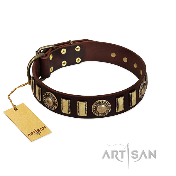 Reliable leather dog collar with corrosion proof buckle