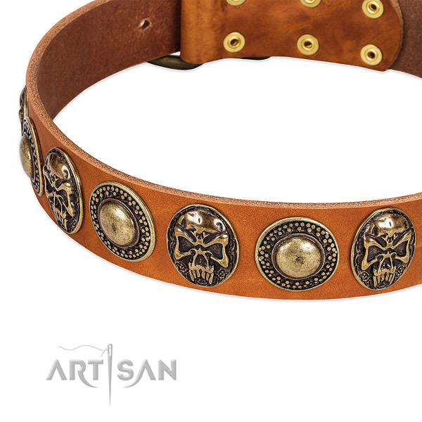 Rust-proof decorations on genuine leather dog collar for your four-legged friend