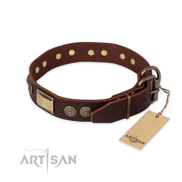 Rust resistant buckle on leather collar for stylish walking your doggie