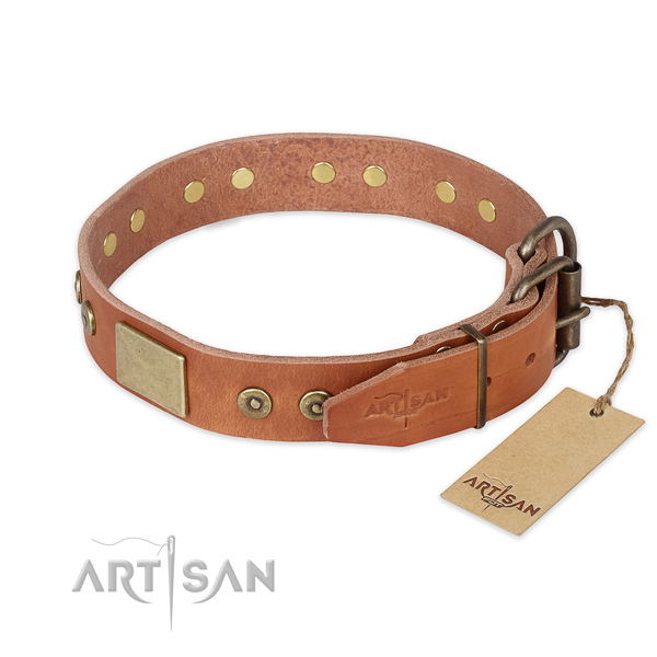 Durable D-ring on leather collar for stylish walking your dog