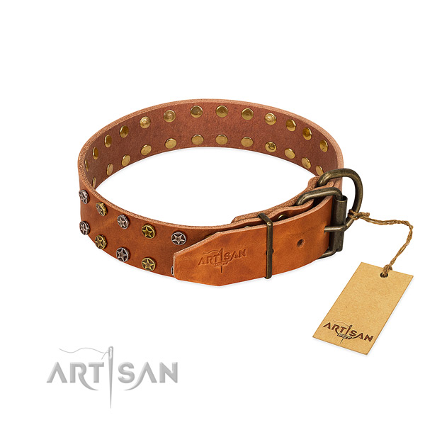 Easy wearing full grain genuine leather dog collar with incredible embellishments