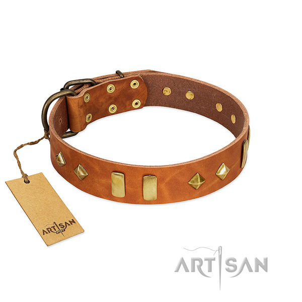 Stylish walking gentle to touch genuine leather dog collar with embellishments