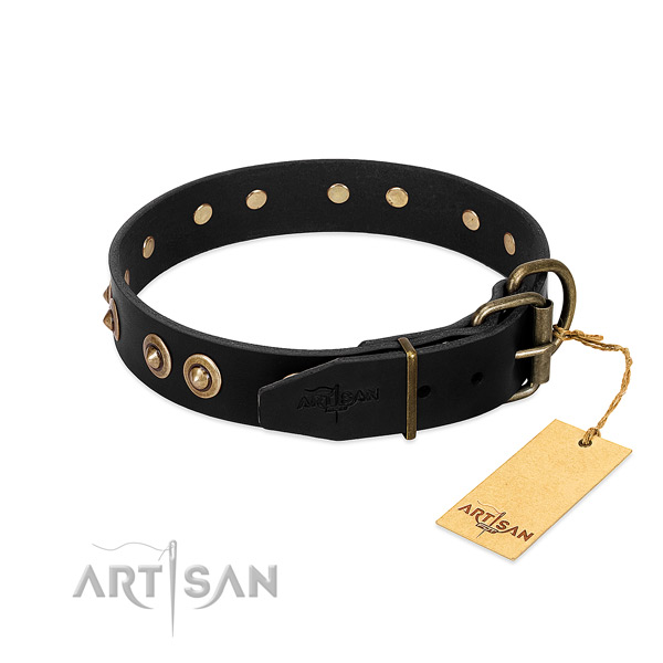 Corrosion proof adornments on full grain leather dog collar for your four-legged friend