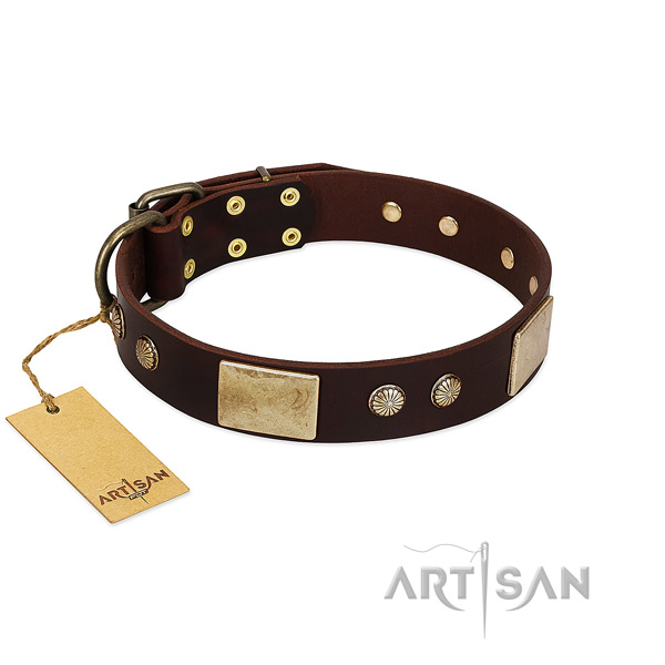 Easy to adjust full grain natural leather dog collar for everyday walking your pet
