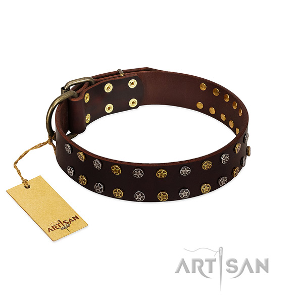 Everyday walking soft to touch full grain leather dog collar with embellishments