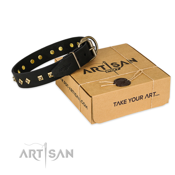 Reliable buckle on genuine leather collar for your stylish doggie