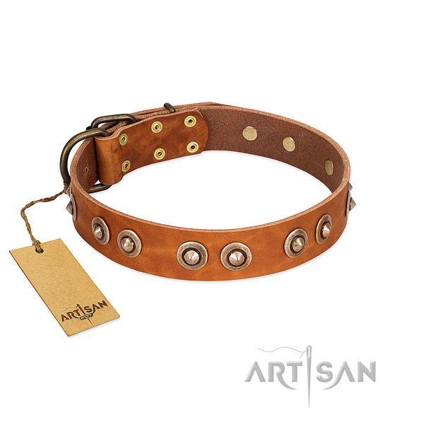 Strong embellishments on full grain genuine leather dog collar for your dog