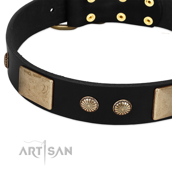 Full grain genuine leather dog collar with studs for walking