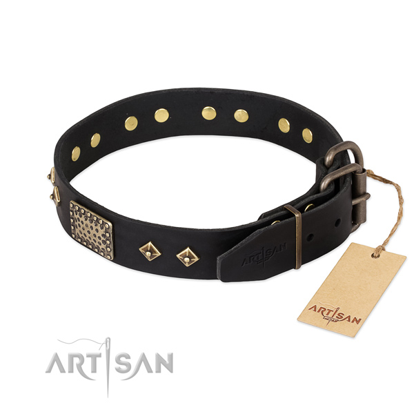 Leather dog collar with reliable D-ring and adornments