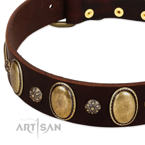 Comfy wearing top rate full grain natural leather dog collar