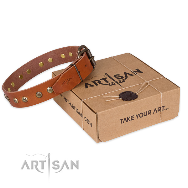 Rust-proof buckle on full grain genuine leather collar for your stylish pet