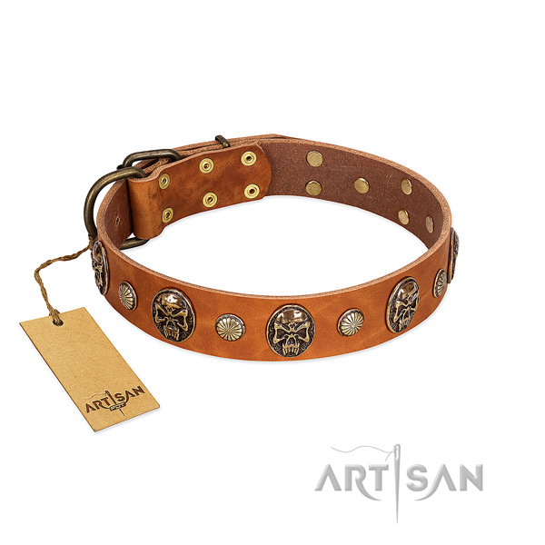Easy wearing genuine leather dog collar for walking