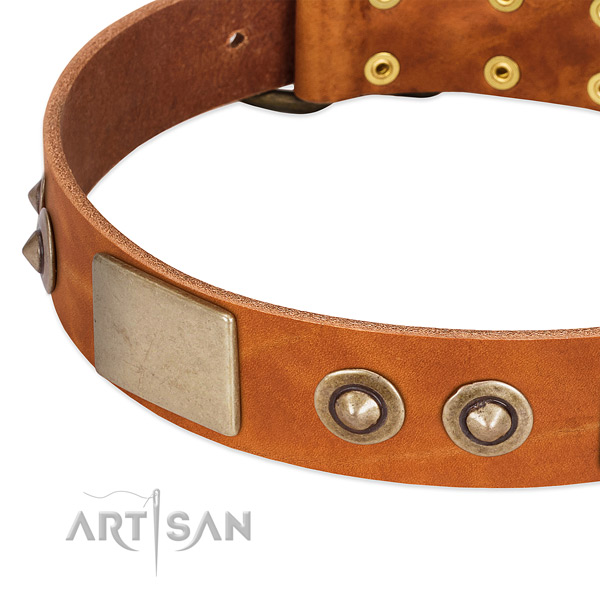 Reliable decorations on natural genuine leather dog collar for your dog