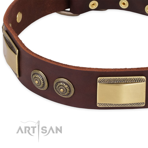 Easy to adjust genuine leather collar for your lovely canine