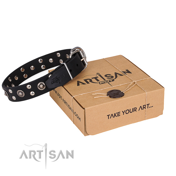 Handy use dog collar with Designer corrosion proof adornments