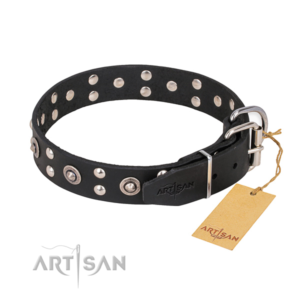 Leather dog collar with impressive rust resistant embellishments