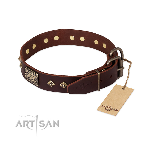 Genuine leather dog collar with rust-proof buckle and studs