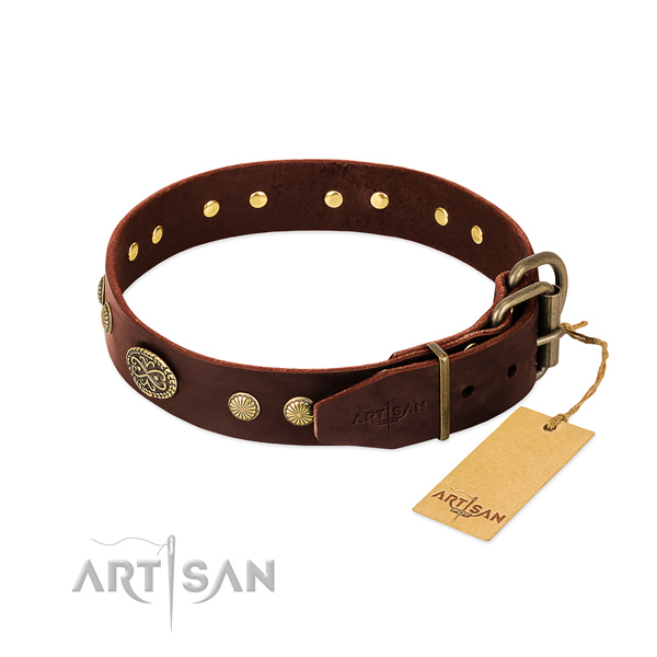 Corrosion proof embellishments on Genuine leather dog collar for your pet