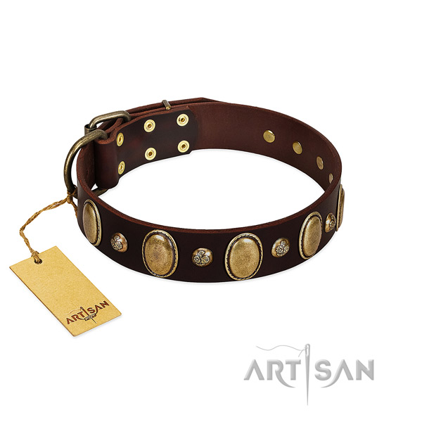 Leather dog collar of top notch material with stunning studs