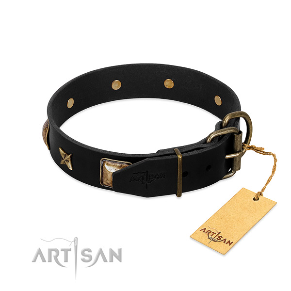Corrosion resistant hardware on full grain natural leather collar for everyday walking your doggie