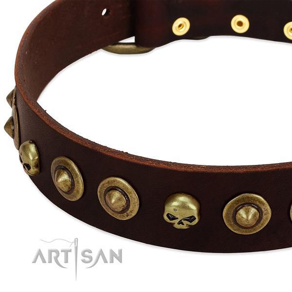 Extraordinary embellishments on natural leather collar for your dog