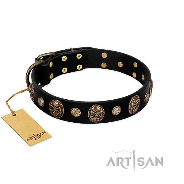 Full grain natural leather dog collar with reliable decorations