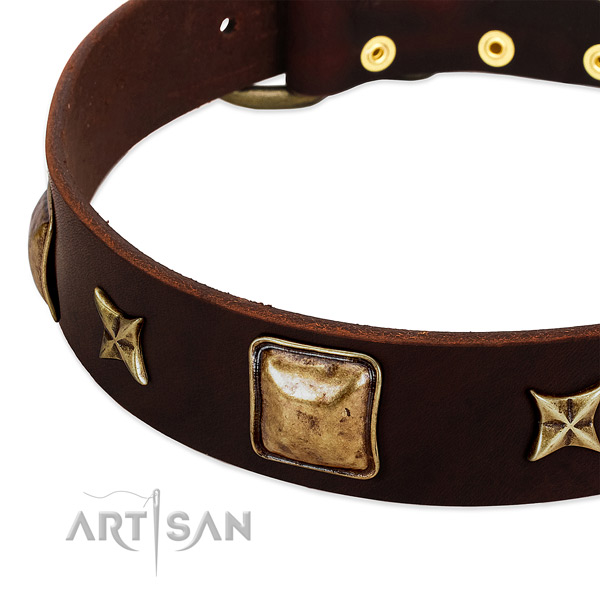 Strong studs on natural genuine leather dog collar for your doggie