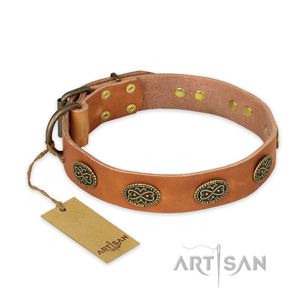 Trendy leather dog collar with durable D-ring