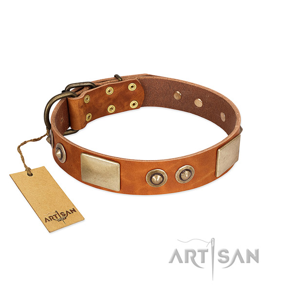 Easy wearing leather dog collar for walking your doggie