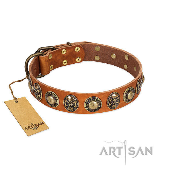 Adjustable full grain natural leather dog collar for everyday walking your four-legged friend