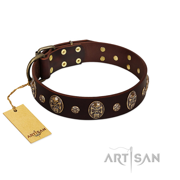 Awesome leather collar for your doggie