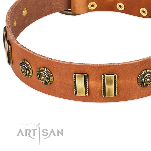 Reliable studs on leather dog collar for your dog