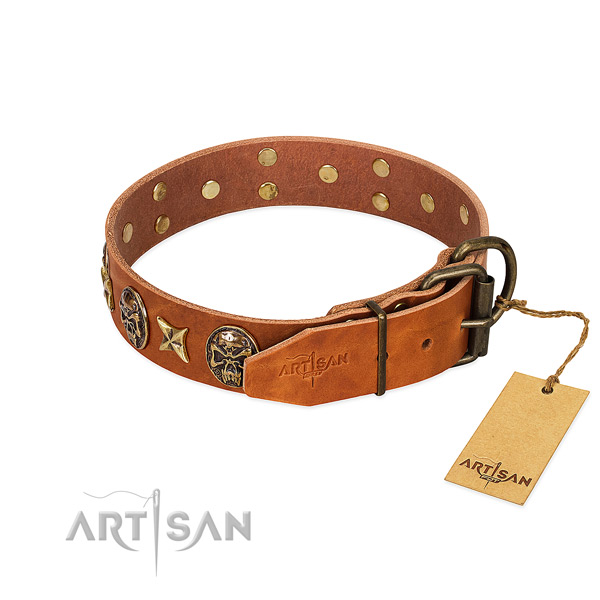 Full grain natural leather dog collar with strong fittings and embellishments