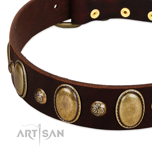 Full grain genuine leather dog collar with stunning decorations
