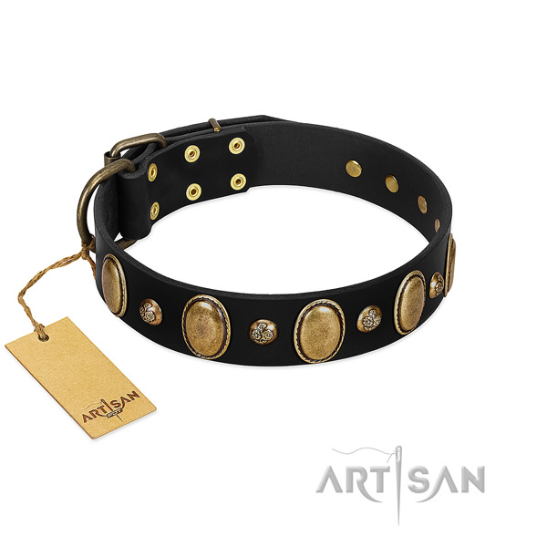 Full grain leather dog collar of soft material with impressive embellishments