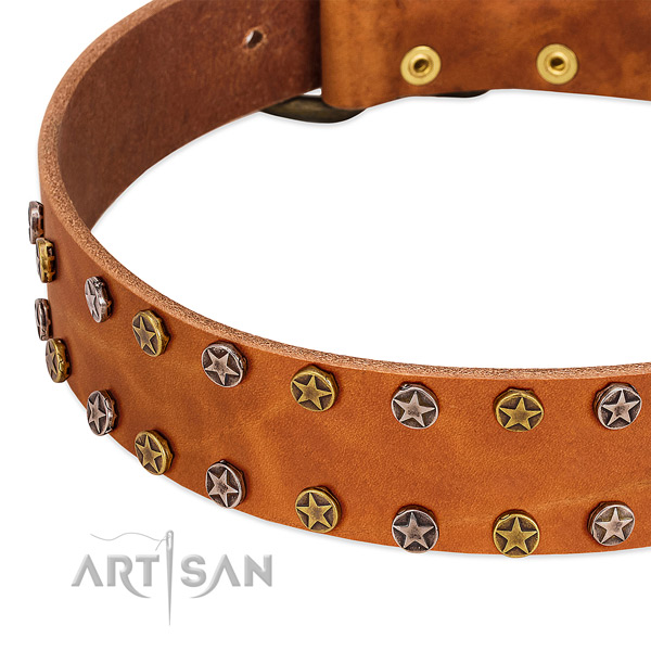 Daily use genuine leather dog collar with stunning studs