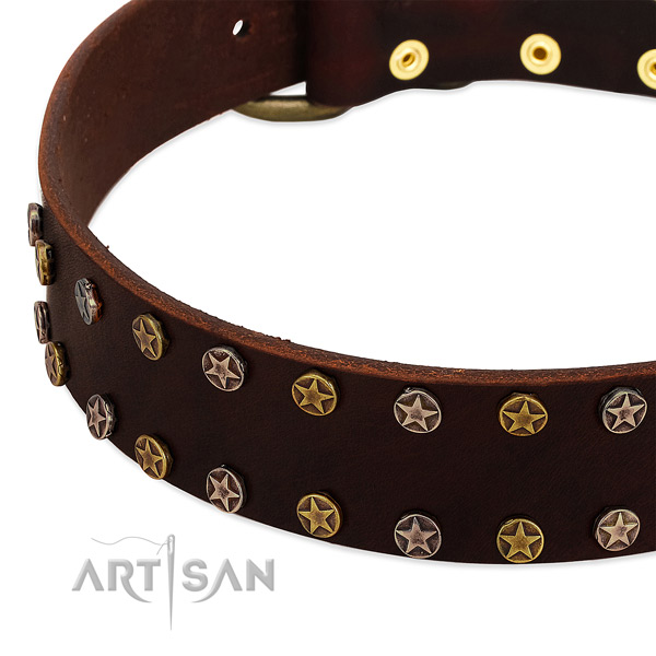 Easy wearing full grain genuine leather dog collar with remarkable adornments