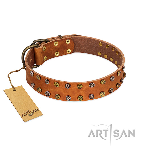 Walking gentle to touch full grain genuine leather dog collar with studs