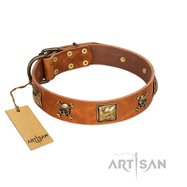 Designer natural leather dog collar with corrosion resistant studs