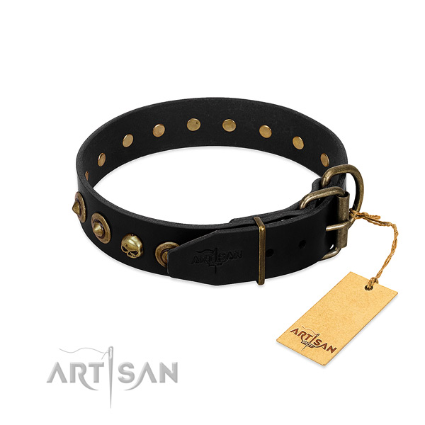 Leather collar with amazing studs for your four-legged friend