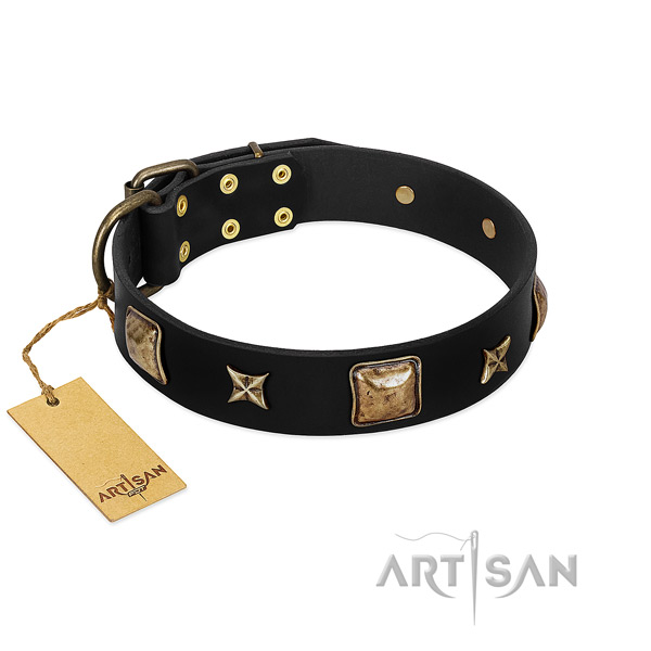 Genuine leather dog collar of reliable material with exceptional embellishments